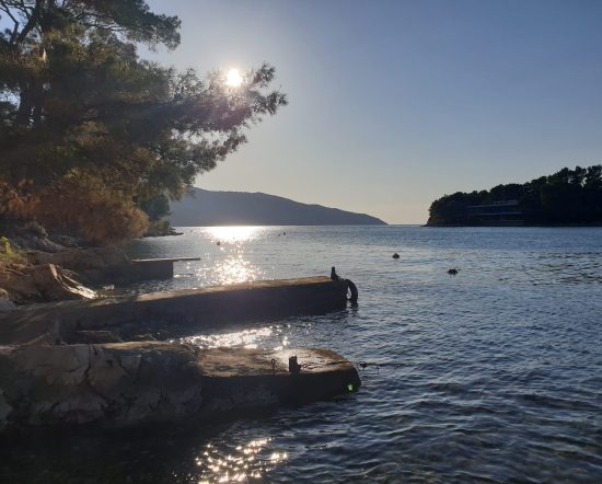 40499f07 69de 4278 a8e7 9f1911f3037e