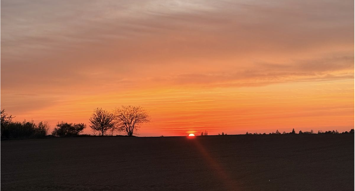 capture d’écran 2026 03 26 à 16.33.01