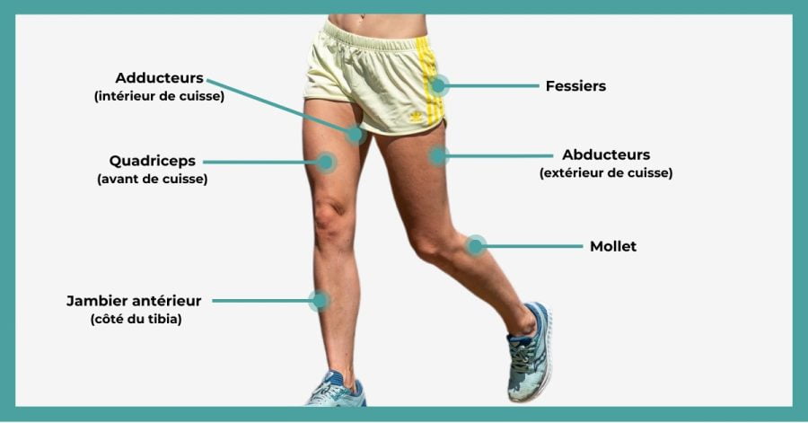 Courbatures Aux Jambes Comment Les Soulager Et Les éviter