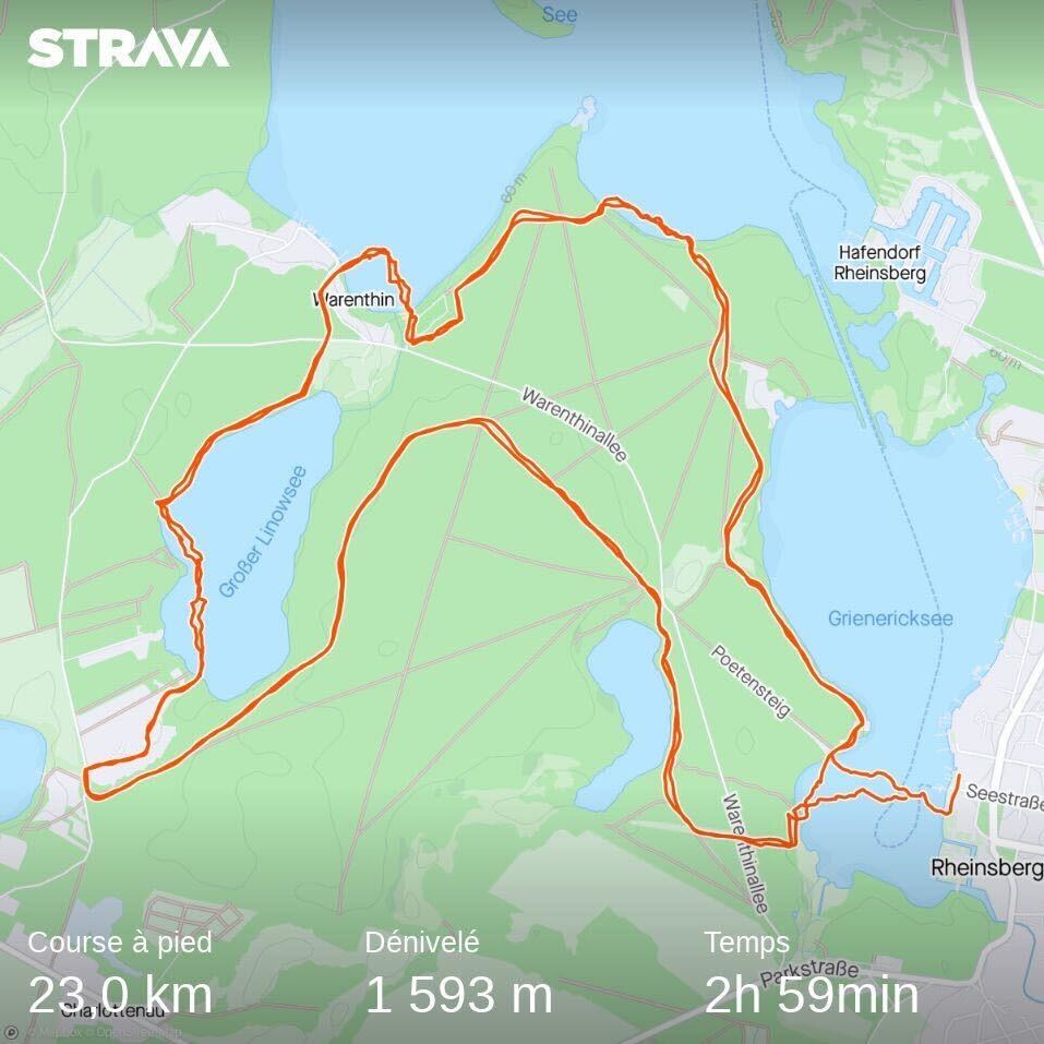 score strava swimrun from rheinsberg 1